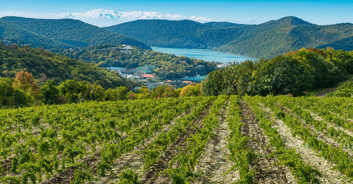 Изображение поля региона Краснодарский край