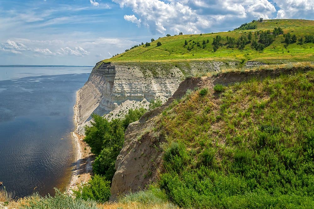 Изображение поля региона Саратовская область