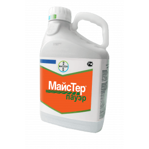 МАЙСТЕР ПАУЭР,МД